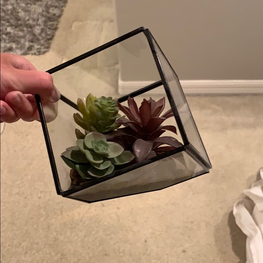 Terrarium Decor